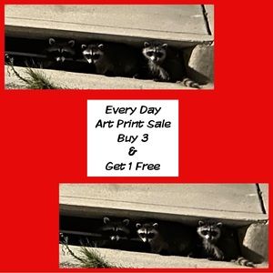 All Fine Art Prints by Jan Perez Art Are Buy 3 Get 1 Free
